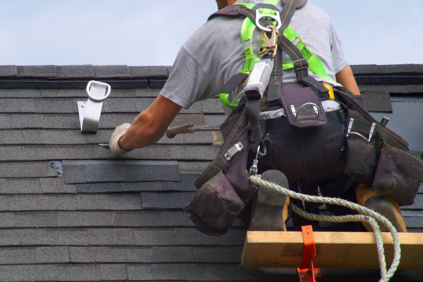 Best Roof Maintenance Services  in Fenton, MI