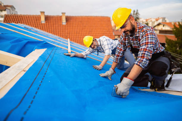 Best Emergency Roof Repair  in Fenton, MI