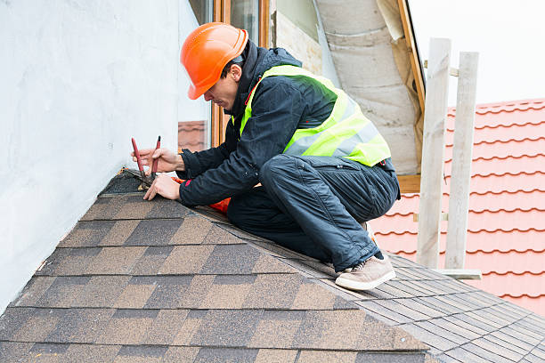 Best Roof Waterproofing Services  in Fenton, MI