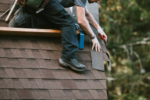 Best Sealant for Roof  in Fenton, MI